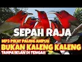 Lagu SUARA PIKAT BURUNG SEPAH RAJA  AMPUH