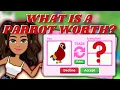 WHAT IS A PARROT WORTH Adopt Me