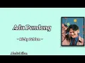 Rizky Febian - Adu Pandang || Lirik Lagu