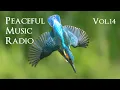 Download Lagu Peaceful Music Radio Vol.14 | 2024.6.23 演奏会のピアノ即興演奏 / Yuusuke