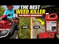 The Best Weed Killer For Your Property How To Use Correctly