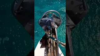 SOUNDS FROM THE SEA #amsr #sailing #shorts