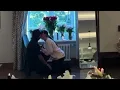 Bella Thorne s Surprise Proposal to Fiance Mark Emms Sparks Mixed Reactions