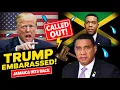 Download Lagu Trump heeft Jamaica zojuist bekritiseerd - hun reactie maakte hem beschaamd