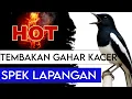 Download Lagu KACER GACOR FULL TEMBAKAN RAPAT - MASTERAN KACER SPEK LAPANGAN KEKINIAN - ORIENTAL MAGPIE-ROBIN CALL