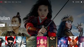 Netflix Clone Using Angular 10 - Part 1 Technical Issue