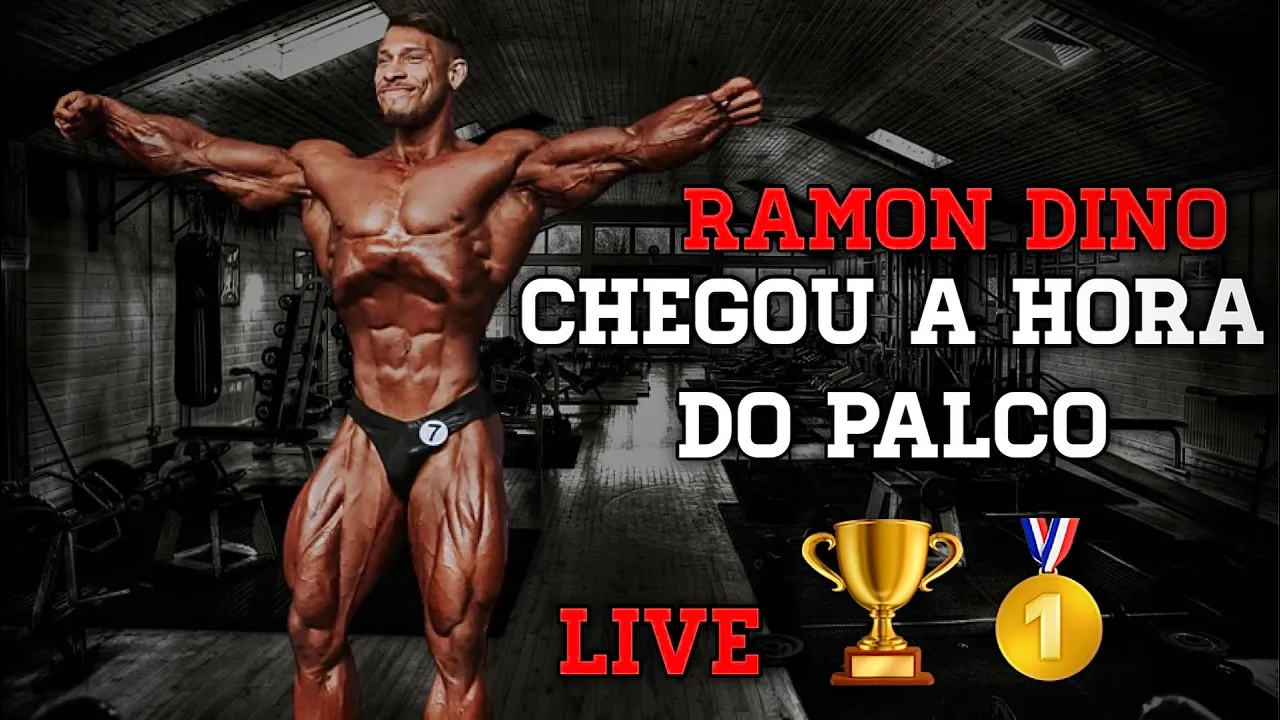 CHEGOU A HORA DO PALCO - RAMON DINO PRO