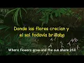 Nick Drake - Place To Be (lyrics/sub)