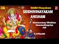 Lagu Sidhi Vinayakam Anisham | Shanmugapriya | Adi | Deekshitar | Srikanth | With English Script |