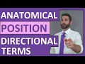 Anatomical Position and Directional Terms - Anatomy and Physiology