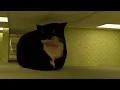 Maxwell dances but its a dream Blender animation
