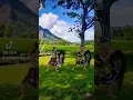 Download Lagu Jaranan Tiktok - Turonggo Safitri Putro #jaranan #jaranantiktok #safitriputro #viral #fyp  #shorts