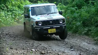                    دندنها