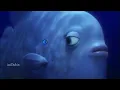 Lagu Finding Dory in part 2