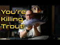 5 Things That Actually Kill Released Trout Wet Hands Isn t One