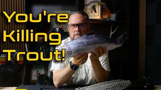 5 Things That Actually Kill Released Trout Wet Hands Isn t One