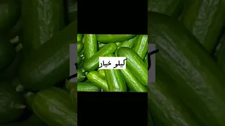 كيلو بصل وكيلو خس تبقى حبيبي انت وبس 