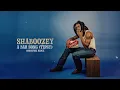 Shaboozey - A Bar Song (Tipsy) [Brocofski Remix]