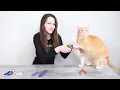 Top 5 Best Cat Nail Clippers We Tested Them All