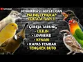 Download Lagu KOMBINASI MASTERAN TEMBAKAN GEREJA TARUNG, CILILIN, LOVEBIRD, KENARI, KAPAS TEMBAK, TENGKEK BUTO !!