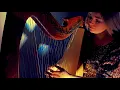 Golden Brown - The Stranglers (Harp Cover)