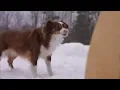 Paradise - Coldplay (Fingerstyle Guitar)