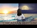 Interior Design Ideas For Better Sleep Mood and Health Circadian Rhythm