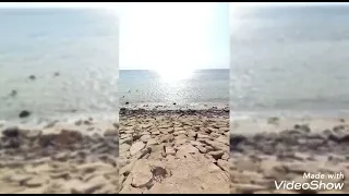 كانك تبي قولت نعم دندنها