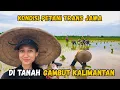 Lagu OLAH LAHAN GAMBUT! BEGINI KONDISI PERTANIAN DI AREA PASANG SURUT KALIMANTAN