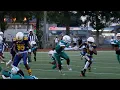 Harrell U Vs Morris Jeff GreenWave 12U 2025 Highly Anticipated Rivalry Game Gets Outta Hand