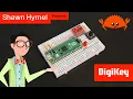 Intro to Embedded Rust Part 4 Ownership and Borrowing DigiKey