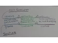 How Do You Use a Bridge Map