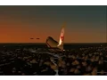 Download Lagu An Out of This World Encounter | Japan Air Lines Flight 1628