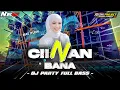 DJ CIINAN BANA MINANG FAUZANA PARTY FULL BASS YANG KALIAN CARI CARI 2024||by RZK PROJECT
