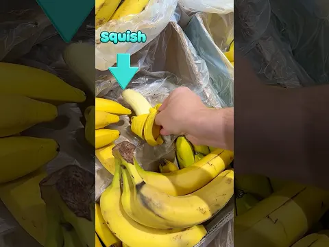 Я спрятал фейковые продукты в магазине!