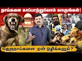 Download Lagu தெருநாய்களுக்கு இழைக்கப்படும் அநீதி? | நீதிமன்ற உத்தரவு ஏன்? | தெருநாய்களை ஒழிப்பது சரியா? | சாட்டை