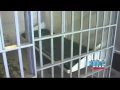 Lena Story Corning Murder Victim s Mother Speaks Out