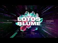 Die Flippers, KONIG - Lotosblume (KONIG Remix)