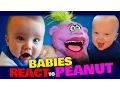 BABIES REACT to PEANUT JEFF DUNHAM