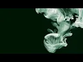 Simian Mobile Disco - Sleep Deprivation (Live at the Barbican)