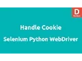 Set Add Cookie using Python Selenium