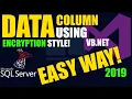 VB NET 2010 Tutorial Modify DataGridView Column Using Cell Formatting WinForms SQL Server Guide