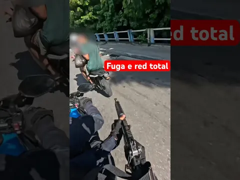 Fugiram mas não foram longe. Acabaram na jaula. Crédito: Cop Noronha, Luís Peixoto e Chaves Cop