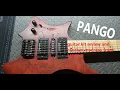 PANGO guitar kit review 2 years later Dermis Daemon and general kit talk