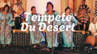the music of niger tempete du desert so ni massoyi