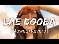 Download Lagu Lae Dooba [Slowed+Reverb] | Sunidhi Chauhan | Lofi | Textaudio
