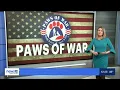 Paws of War LIE Announcement Part 2 March 31 News 12