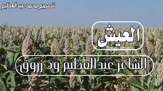 الشاعر عبدالعظيم ود زروق 