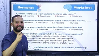 Homework Lecture 4 Chapter 2 Adrenal Glans 
