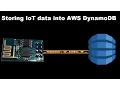 Storing IoT data into AWS DynamoDB